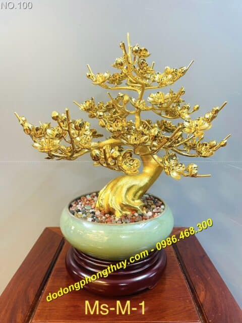 cay mai bang dong ma vang 24k