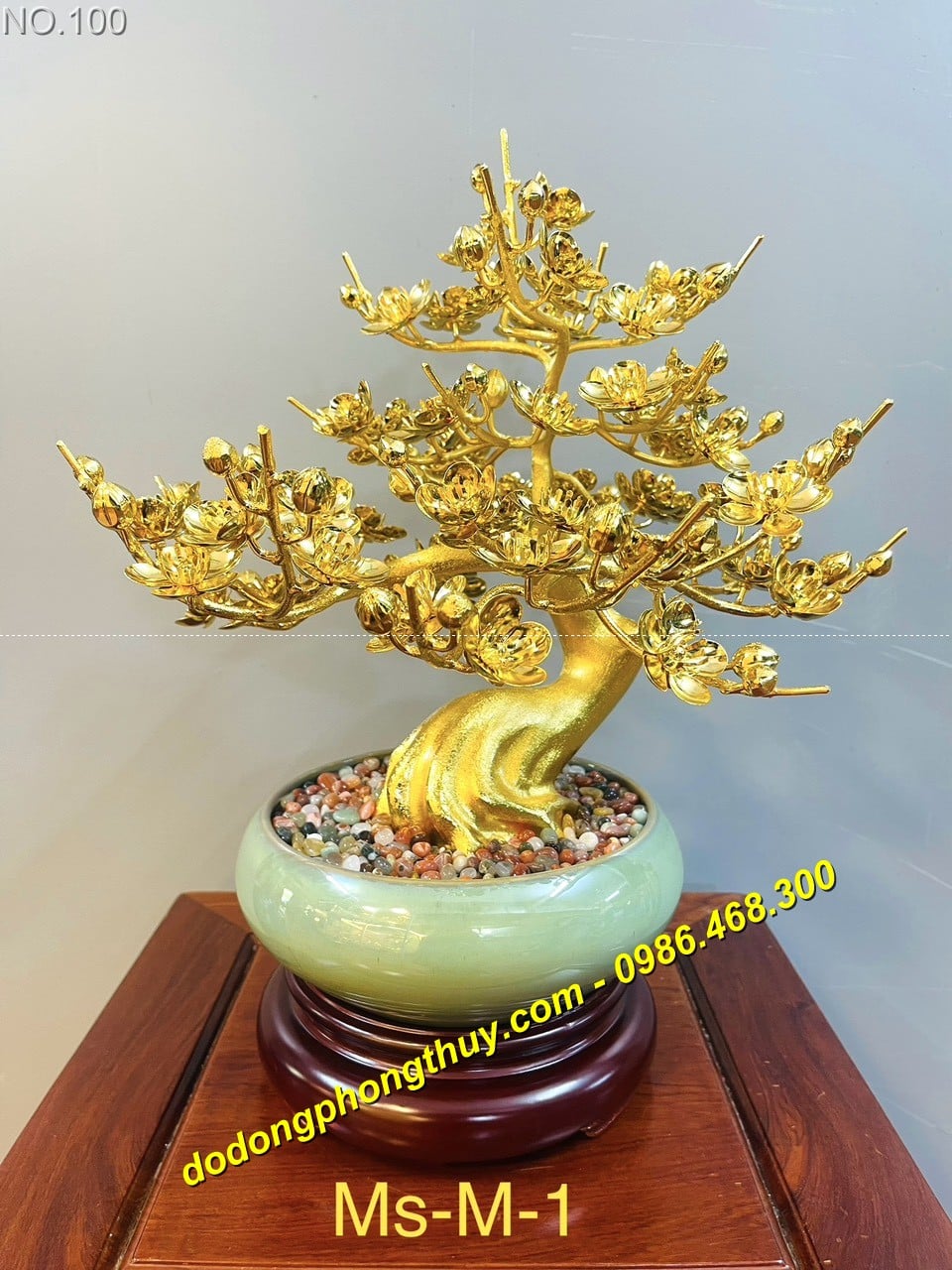 cay mai bang dong ma vang 24k